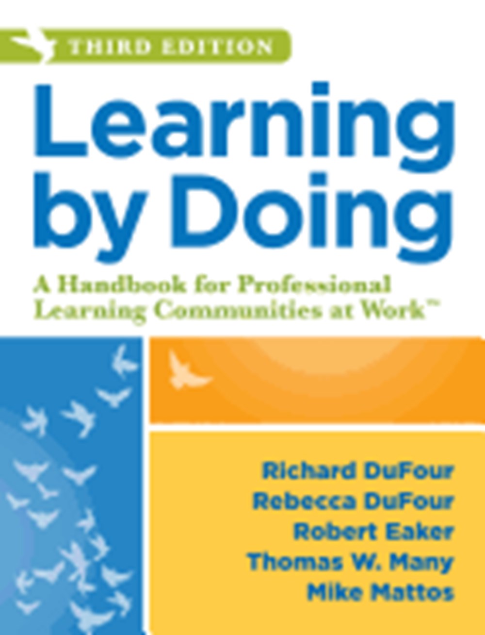 Learning by Doing: A Handbook for Professional Learning Communities at Work, Third Edition (a Practi