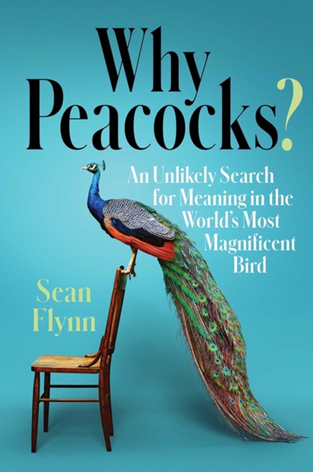 Why Peacocks? An Unlikely Search for Meaning in the World's Most Magnificent Bird