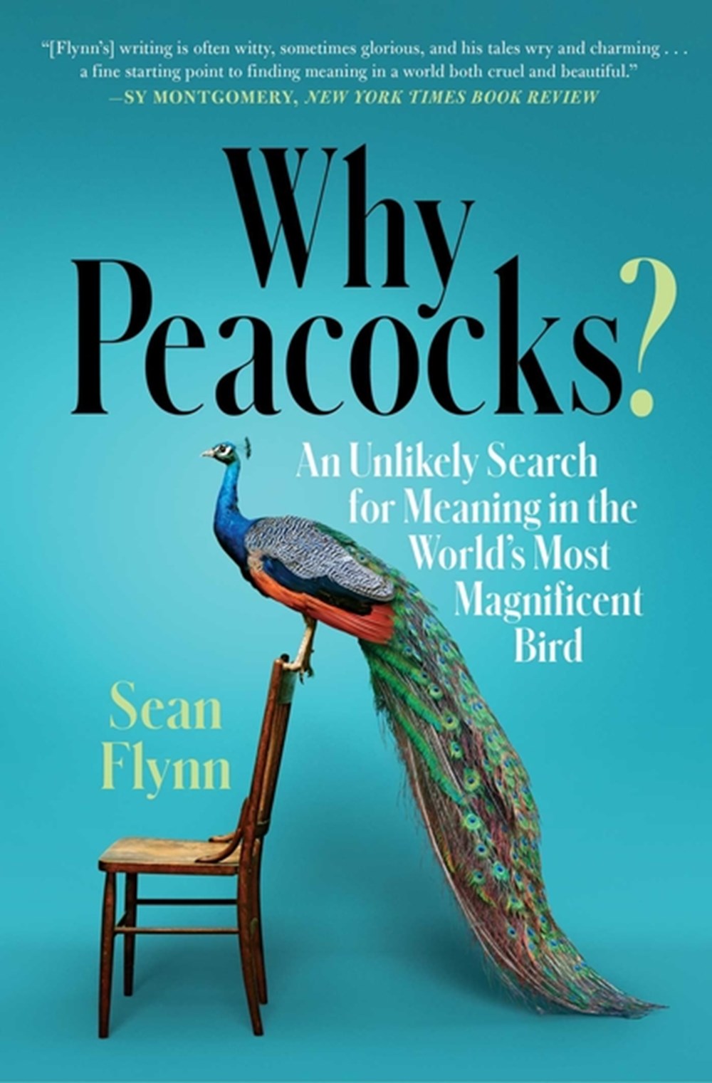 Why Peacocks? An Unlikely Search for Meaning in the World's Most Magnificent Bird