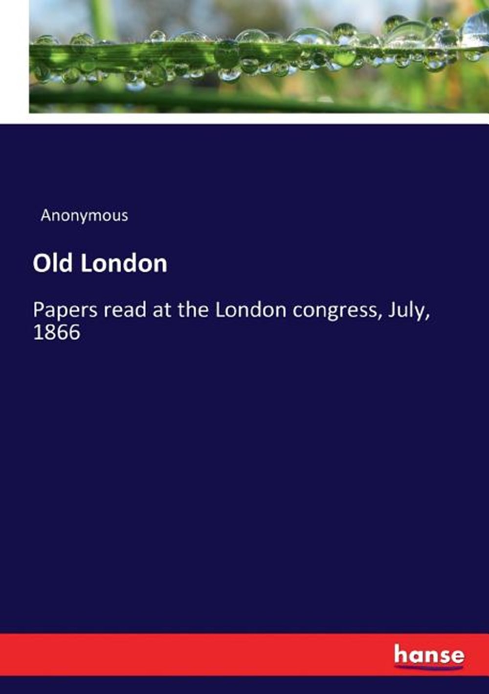Old London: Papers read at the London congress, July, 1866