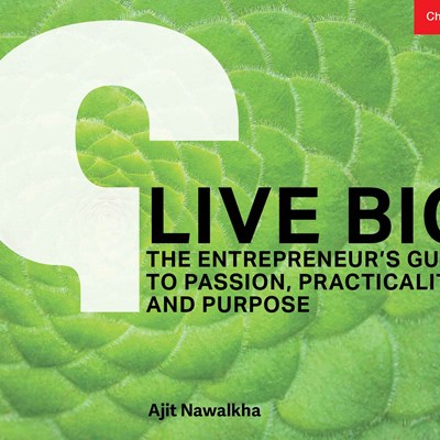 Live Big: The Entrepreneur's Guide to Passion, Practicality, and Purpose
